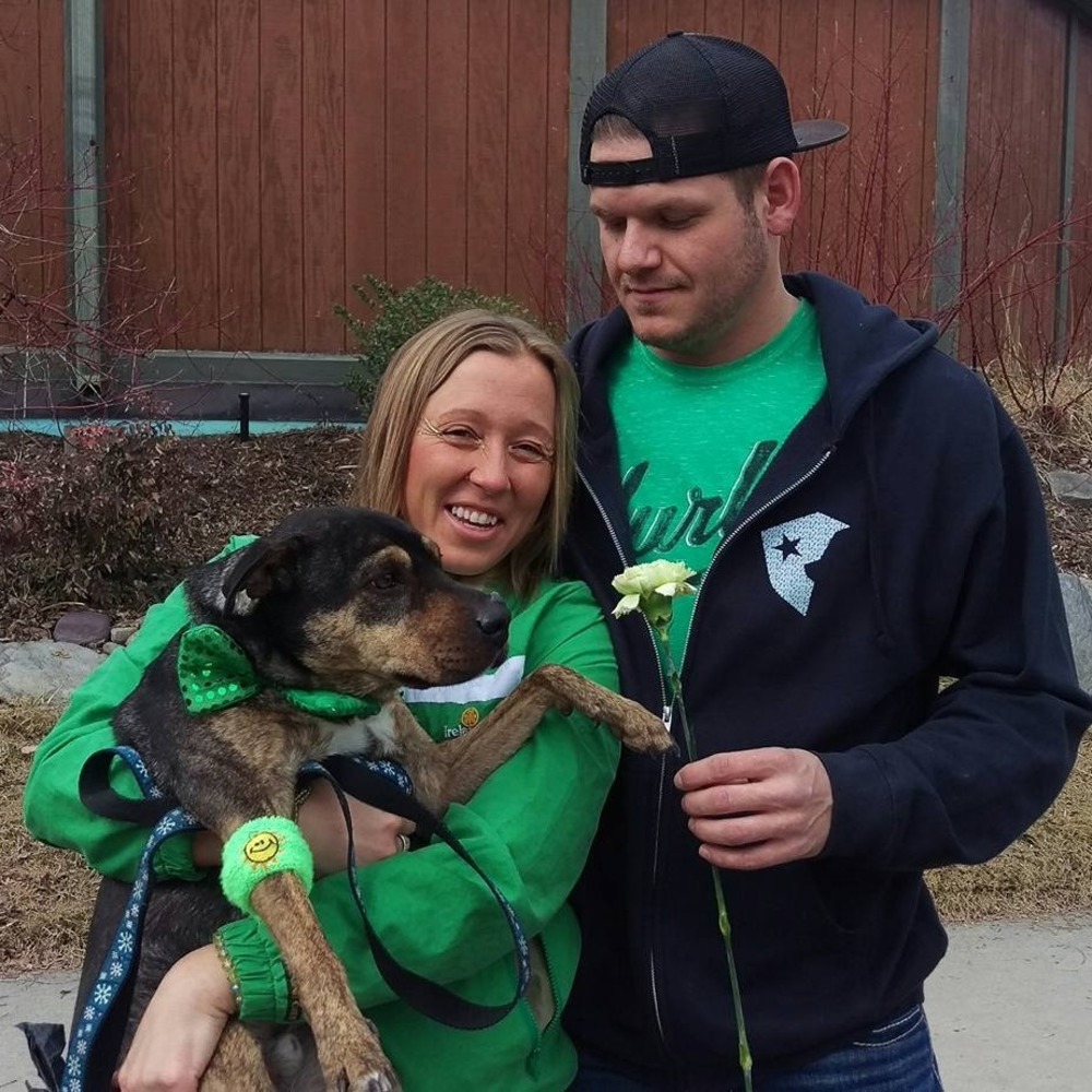 Meet your Posher, Kayley